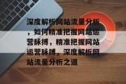 深度解析网站流量分析，如何精准把握网站运营脉搏，精准把握网站运营脉搏，深度解析网站流量分析之道