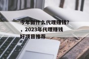 今年做什么代理赚钱？，2023年代理赚钱好项目推荐