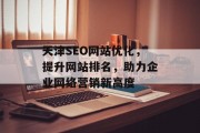 天津SEO网站优化，提升网站排名，助力企业网络营销新高度