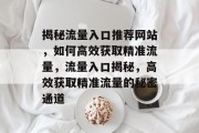揭秘流量入口推荐网站，如何高效获取精准流量，流量入口揭秘，高效获取精准流量的秘密通道