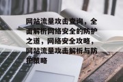 网站流量攻击查询，全面解析网络安全的防护之道，网络安全攻略，网站流量攻击解析与防护策略