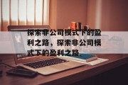 探索非公司模式下的盈利之路,探索非公司模式下的盈利之路 探索非公司模式下的盈利之路,探索非公司模式下的盈利之路