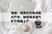 海南：培育壮大海洋新兴产业，加快海洋油气矿产增储上产