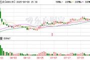 利扬芯片股东拟合计减持不超3.9377%公司股份