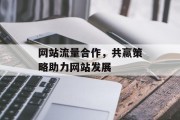 网站流量合作，共赢策略助力网站发展