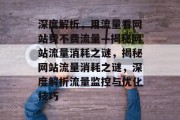 深度解析，用流量看网站费不费流量—揭秘网站流量消耗之谜，揭秘网站流量消耗之谜，深度解析流量监控与优化技巧