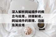 深入解析网站插件的概念与应用，详细解读，网站插件的原理、功能及其应用