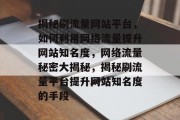 揭秘刷流量网站平台，如何利用网络流量提升网站知名度，网络流量秘密大揭秘，揭秘刷流量平台提升网站知名度的手段