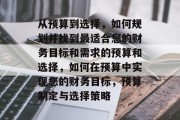 从预算到选择，如何规划并找到最适合您的财务目标和需求的预算和选择，如何在预算中实现您的财务目标，预算制定与选择策略