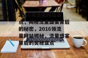 2016领流量网站盘点，揭秘流量盛宴背后的秘密，2016领流量网站揭秘，流量盛宴背后的奥秘盘点