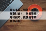 夏天来临,如何在暑期赚取财富?,掌握暑期赚钱技巧,抓住夏季的黄金商机