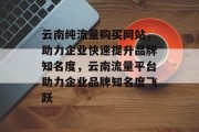 云南纯流量购买网站，助力企业快速提升品牌知名度，云南流量平台助力企业品牌知名度飞跃
