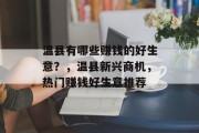 温县有哪些赚钱的好生意？，温县新兴商机，热门赚钱好生意推荐