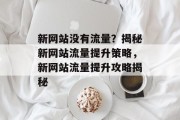 新网站没有流量？揭秘新网站流量提升策略，新网站流量提升攻略揭秘