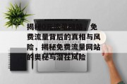 揭秘0元流量网站，免费流量背后的真相与风险，揭秘免费流量网站的奥秘与潜在风险