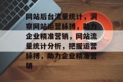 网站后台流量统计，洞察网站运营脉搏，助力企业精准营销，网站流量统计分析，把握运营脉搏，助力企业精准营销