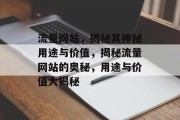 流量网站，揭秘其神秘用途与价值，揭秘流量网站的奥秘，用途与价值大揭秘
