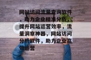 网站访问流量查询软件，助力企业精准分析，提升网站运营效率，流量洞察神器，网站访问分析软件，助力企业高效运营