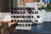 网站流量在线查询，掌握网站动态，优化SEO策略的得力助手，网站流量实时监控，SEO策略优化必备助手