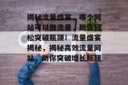 揭秘流量盛宴，哪个网站可以做流量，助你轻松突破瓶颈！流量盛宴揭秘，揭秘高效流量网站，助你突破增长瓶颈！