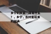 乡宁的致富门路是什么？，乡宁，农村富起来的秘诀