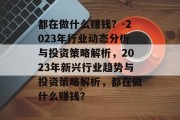 都在做什么赚钱?-2023年行业动态分析与投资策略解析,2023年新兴行业趋势与投资策略解析,都在做什么赚钱?
