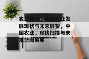 农业新闻，我国农业发展现状与未来展望，中国农业，现状扫描与未来蓝图展望