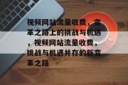 视频网站流量收费，变革之路上的挑战与机遇，视频网站流量收费，挑战与机遇并存的新变革之路