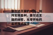 塞尔达王国的秘密，如何实现盈利，塞尔达王国的秘密，从零开始的盈利模式探索