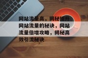 网站流量高，揭秘提升网站流量的秘诀，网站流量倍增攻略，揭秘高效引流秘诀