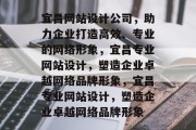 宜昌网站设计公司，助力企业打造高效、专业的网络形象，宜昌专业网站设计，塑造企业卓越网络品牌形象，宜昌专业网站设计，塑造企业卓越网络品牌形象