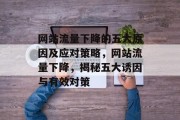 网站流量下降的五大原因及应对策略，网站流量下降，揭秘五大诱因与有效对策