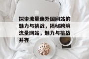 探索流量连外国网站的魅力与挑战，揭秘跨境流量网站，魅力与挑战并存