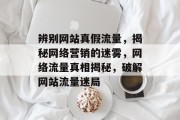 辨别网站真假流量，揭秘网络营销的迷雾，网络流量真相揭秘，破解网站流量迷局