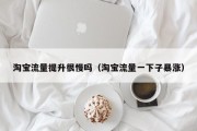 淘宝流量提升很慢吗（淘宝流量一下子暴涨）