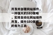 开发并部署网站插件，一种强大的SEO策略，实现自动化网站插件开发，提升SEO策略的有力工具