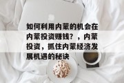 如何利用内蒙的机会在内蒙投资赚钱？，内蒙投资，抓住内蒙经济发展机遇的秘诀