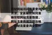 揭秘网站访问流量查询方法，全面解析如何准确获取网站流量数据，网站流量数据获取攻略，揭秘流量查询全解析