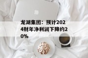 龙湖集团：预计2024财年净利润下降约20%
