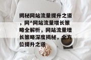 揭秘网站流量提升之道，网^网站流量增长策略全解析，网站流量增长策略深度揭秘，全方位提升之道