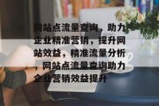 网站点流量查询，助力企业精准营销，提升网站效益，精准流量分析，网站点流量查询助力企业营销效益提升