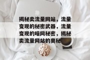 揭秘卖流量网站，流量变现的秘密武器，流量变现的暗网秘密，揭秘卖流量网站的奥秘