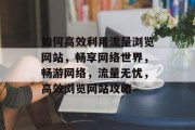 如何高效利用流量浏览网站，畅享网络世界，畅游网络，流量无忧，高效浏览网站攻略