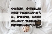 全面解析，查看网站标题插件的功能与使用方法，使用说明，详细解读与实战分析网站标题插件功能与操作步骤