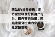 网站UV流量查询，助力企业精准分析用户行为，提升营销效果，网站流量分析助力企业优化营销策略