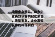 流量宝盒网站，助力企业高效获客的秘密武器，流量宝盒，企业高效获客的神秘利器