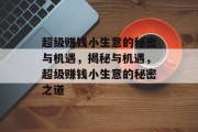 超级赚钱小生意的秘密与机遇，揭秘与机遇，超级赚钱小生意的秘密之道