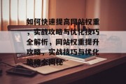 如何快速提高网站权重，实战攻略与优化技巧全解析，网站权重提升攻略，实战技巧与优化策略全揭秘