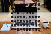 揭秘，哪些网站访问量居高不下，背后的原因竟然是...，揭秘网络流量高峰，哪些网站独领风骚的秘密，网络流量巅峰揭秘，揭秘高访问量网站背后的秘密
