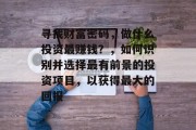 寻找财富密码,做什么投资最赚钱?,如何识别并选择最有前景的投资项目,以获得最大的回报 寻找财富密码,做什么投资最赚钱?,如何识别并选择最有前景的投资项目,以获得最大的回报